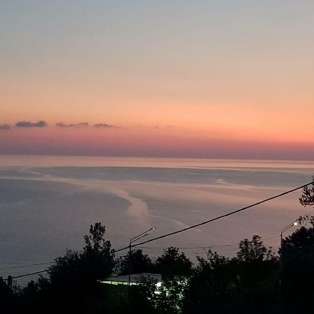 Гостевой Дом Мимоза Gagra Kültér fotó