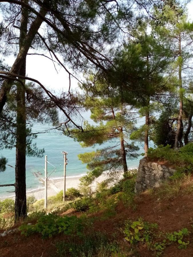 Гостевой Дом Мимоза Gagra Kültér fotó